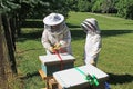 Removing Ratchet Straps from a Beehive