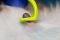 Removing a tick from cat or dog skin with tick remover tool