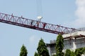 Removing tower crane