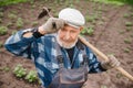 Removing weeds from soil of potatoes, Senior elderly man wielding hoe in vegetable garden Royalty Free Stock Photo