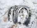 Removing of worn out horseshoes within snow in background