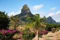 Rempart mountain surrounded by flowering bushes, Tamarin, Mauritius