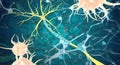 Remyelination is the phenomenon in which new myelin sheaths are