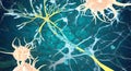 Remyelination is the phenomenon in which new myelin sheaths are