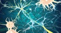 Remyelination is the phenomenon in which new myelin sheaths are