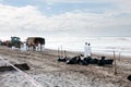 Rena oil spill clean up workers Royalty Free Stock Photo