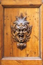 Renaissance decoration on a wooden door