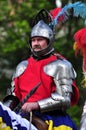 Renaissance knight on horseback Royalty Free Stock Photo