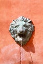 Renaissance lion head fountain