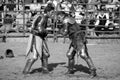 Renaissance Pleasure Faire - Knights Battle 15 Royalty Free Stock Photo