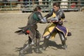 Renaissance Pleasure Faire - Knights Battle 6 Royalty Free Stock Photo