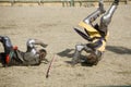 Renaissance Pleasure Faire - Knights Battle 8 Royalty Free Stock Photo