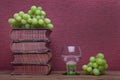 Renaissance, rummer wine glass, old books and grapes