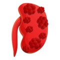 Renal kidney icon, cartoon style