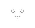Renal system vector icon illustration Royalty Free Stock Photo