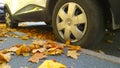 Renault Car wheel on road. Yellow fallen maple leaves on asphalt. Golden autumn street. Travelling. Driving. Automobile hubcap.