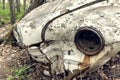 Abandoned Car in a Birch Forest