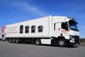 Renault Range T Truck for Long Haul