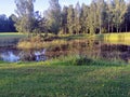 Renda. Autumn. Evening. Forest. Sky.