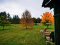 Renda. Autumn. Golden trees.