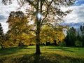 Renda. Autumn. Tree. Clouds good weather.