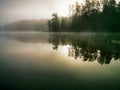 Renda. Summer. Lake. Forest. Fog.