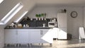 Render of 3D Contemporary kitchen