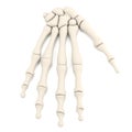 Render of hand bones Royalty Free Stock Photo
