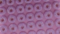 Render of a large number of pink donuts on a pink background generated in 3D
