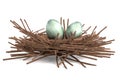 Render of magpie nest