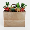 Render of Paper Bag with Vegetable Royalty Free Stock Photo