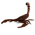 Render of scorpion Royalty Free Stock Photo