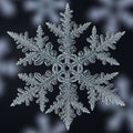 Is rendered in high contrast, with the snowflake appearing bright Royalty Free Stock Photo