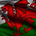 Rendered Welsh Square Flag