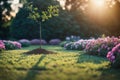 Rendering of Planting for the Future A Hand Planting a Small Tree at Sunset .AI Generated