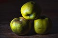 Renette apples Royalty Free Stock Photo