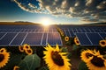 renewable energy background with photovoltaic energy as big solar panels in sunflowers field Royalty Free Stock Photo