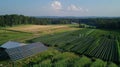 Renewable Energy and Biomass Farm