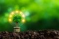 Renewable energy concept Earth Day or environment protection Hands protect forests that grow on the ground and help save the world Royalty Free Stock Photo