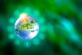 Renewable energy concept Earth Day or environment protection Hands protect forests that grow on the ground and help save the world Royalty Free Stock Photo