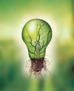 Renewable energy concept - Eco light bulb with leaf and branches inside and roots