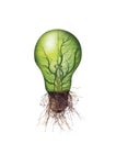 Isolated eco light bulb with leaf and branches inside and roots -energy concept-