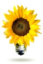 Renewable energy concept with sunflower Royalty Free Stock Photo