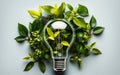 Renewable Energy Eco-Friendly Lightbulb from Fresh Leaves
