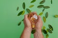 Renewable energy.Green Energy Source. Electricity and green energy.Light bulb in a male hand and green leaves on a green