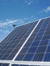 Renewable energy - photovoltaic cells - solar panels for domestic use Royalty Free Stock Photo