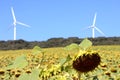 Renewable energy production, bio and wind, Spain Royalty Free Stock Photo