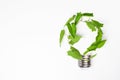 Renewable energy, sustainability, ecology concept. Light bulb made of green plant over white background