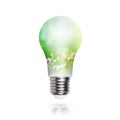 Renewable energy, sustainability, ecology concept. Light bulb made of green plants isolated over white
