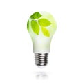 Renewable energy, sustainability, ecology concept. Light bulb made of green plants over white background
